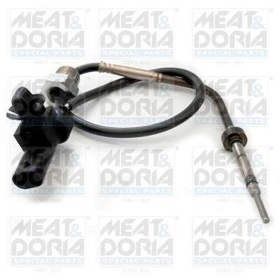 Sensor, exhaust gas temperature